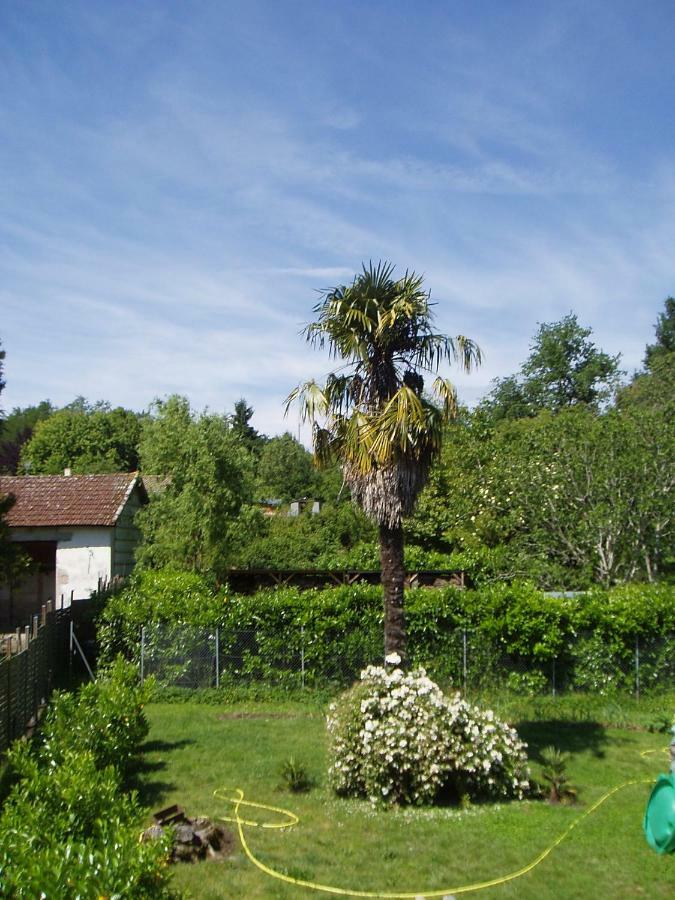 L'Ancien Patronage Pensionat Caumont-sur-Garonne Eksteriør billede